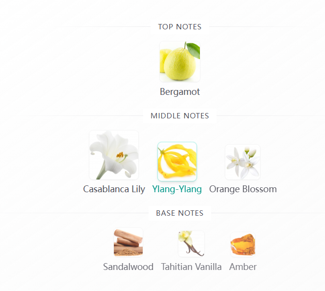 Bamboo 75ml