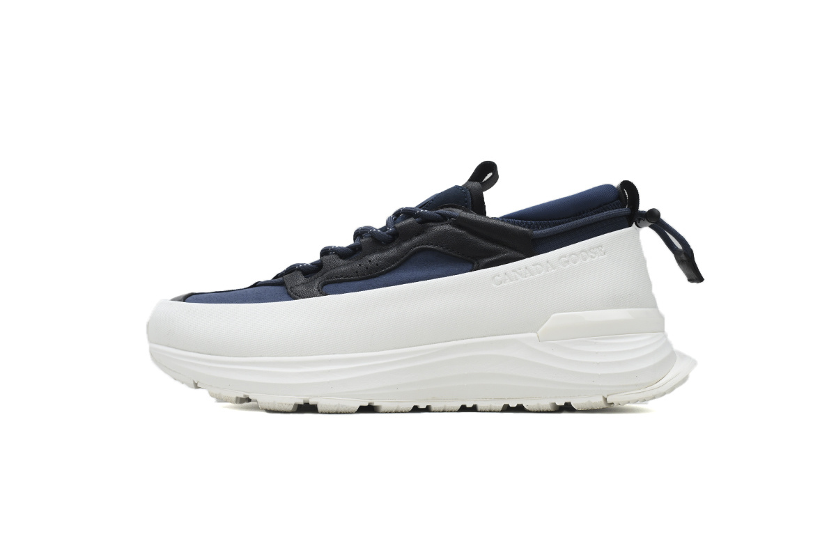 Canada Goose Glacier Trail White